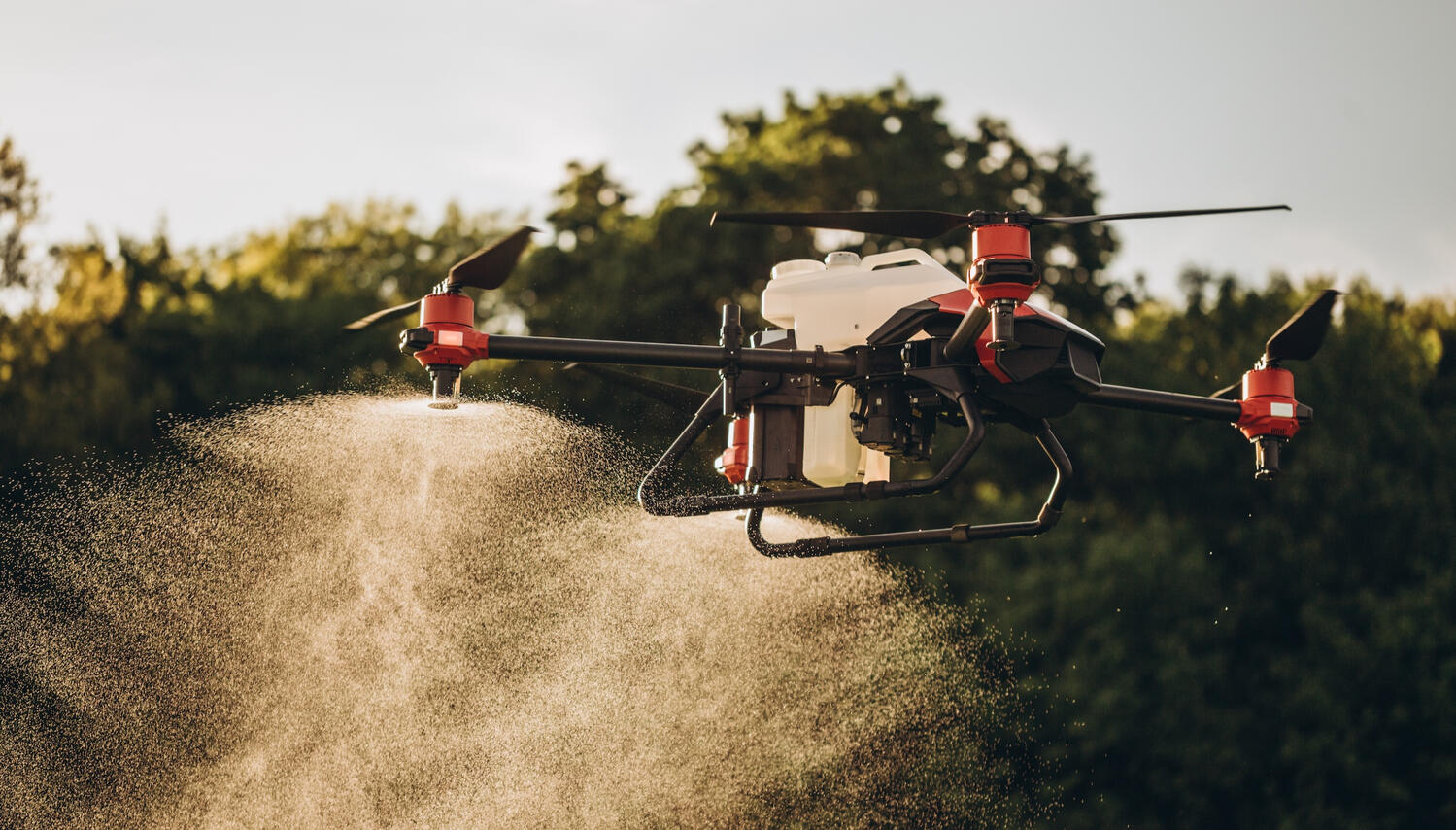 Weed Mapping and Environmental Weed Support | TALONYX Map weed extent, priority zones and access constraints before aerial treatment works begin.